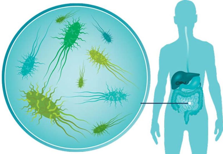 How long do bacteria and viruses live outside the body? - 4inlanyards blog