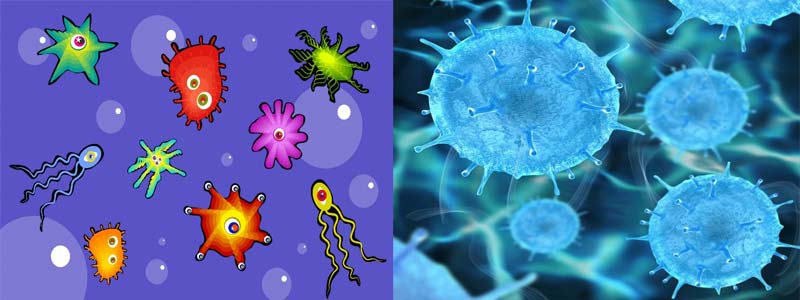 How long do bacteria and viruses live outside the body? - 4inlanyards blog