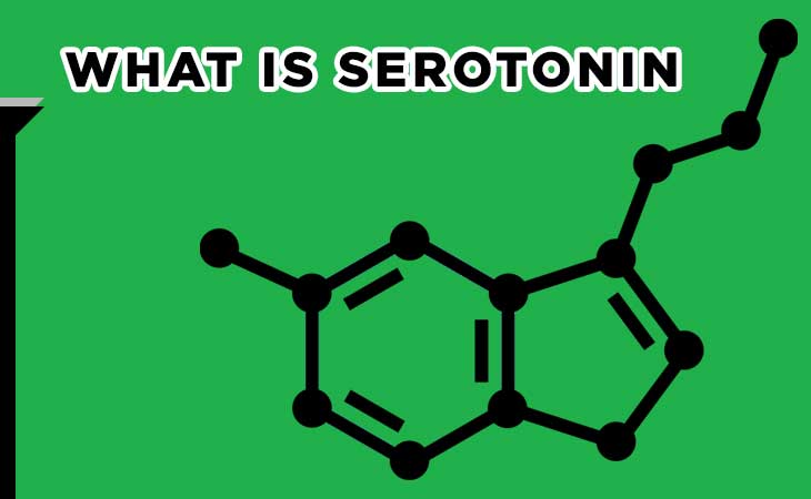 What-is-Serotonin