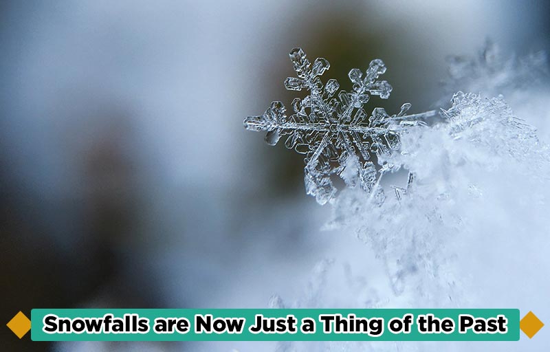 Snowfalls are Now Just a Thing of the Past